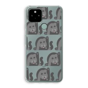 Cats: Google Pixel 5 Transparant Hoesje