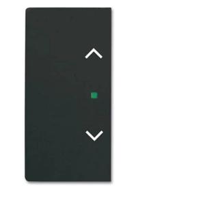 Busch-Jaeger 2CKA006220A0505 Afdekking 2-voudig free@home Diepzwart (RAL 9005), Zwart 1 stuk(s)