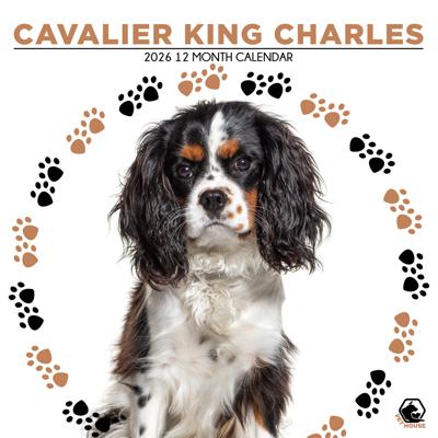 Cavalier King Charles Spaniel Kalender 2026