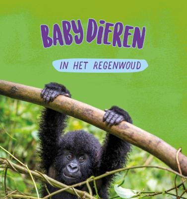 Babydieren in het regenwoud (Hardback)