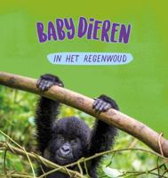 Babydieren in het regenwoud (Hardback)