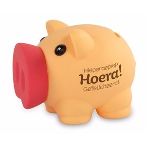 Verjaardag kado spaarpot hieperdepiep hoera gefeliciteerd