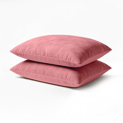 2-PACK Velvet Kussensloop - Roze - Zydante - 60x70 Cm - Microvezel Velvet - Dekbed-Discounter.nl