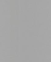 Dutch Wallcoverings Asperia - Uni - Zilver