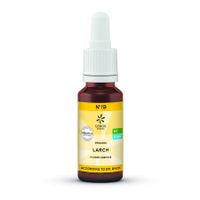 Bachbloesem Bio N°19 Larch 20ml