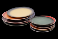Set van 12 borden - 6 personen - meerkleurig - aardewerk - Fire style - Kade 171 - hip en trendy