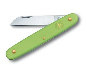 Victorinox EcoLine 3.9050.47B1 Oculeermes Pastelgroen