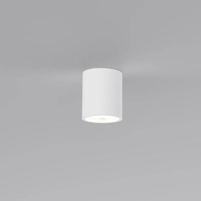 Artdelight Overschilderbare plafondlampToulouse glad - PL 4064 WI