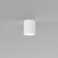 Artdelight Overschilderbare plafondlampToulouse glad - PL 4064 WI