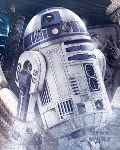 Star Wars The Last Jedi R2-D2 Droid Poster 40x50cm