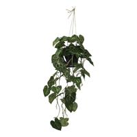 Philodendron hang 105 cm kunstplant Buitengewoon de Boet - Buitengewoon de boet