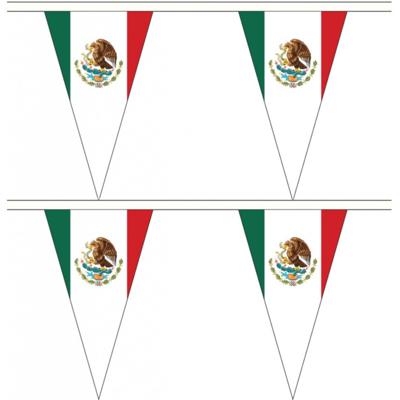 Mexico vlaggenlijn - 2x stuks - 5 meter - polyester - Mexicaanse vlag - landen versiering Mexico vlaggenlijn - 2x stuks - 5 meter - polyester - Mexicaanse vlag - landen versiering