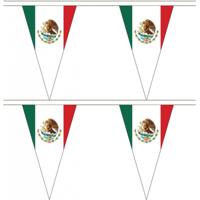 Mexico vlaggenlijn - 2x stuks - 5 meter - polyester - Mexicaanse vlag - landen versiering