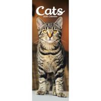 Katten Kalender 2026 Slimline Katten Kalender 2026 Slimline