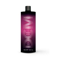 DCM After Color Shampoo 1000ml