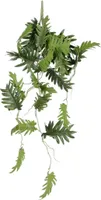 Mica Philodendron selloum hang groen - thumbnail