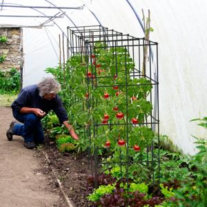 4-delige Tomaten Klimsteun Plantensteunen voor Verticale Groei Stevig Klimrek voor Druiven Paprika's Wijnranken Bloemen