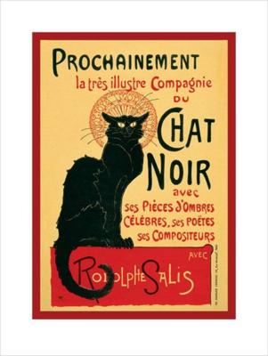 Kunstdruk Chat Noir 60x80cm