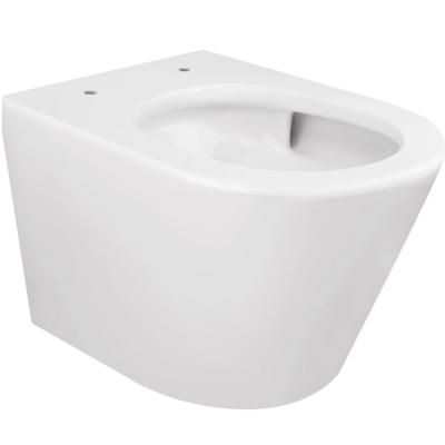 Wiesbaden Wandcloset Vesta Rimless Tornado Flush Mat Wit