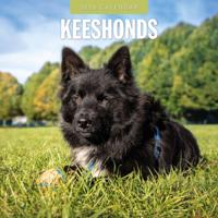Keeshond Kalender 2026
