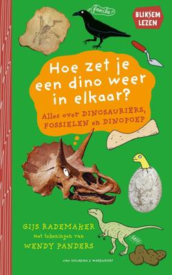 Hoe zet je een dino weer in elkaar? (Hardback)