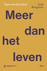 Meer dan het leven - Erik Borgman - ebook