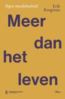 Meer dan het leven - Erik Borgman - ebook