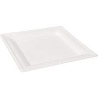 Depa Bord | vierkant | 1-vaks | bagasse (suikerrietpulp) | 16x16cm | wit | 500 stuks