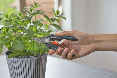 Gardena GripCut snoeischaar Zwart, Groen