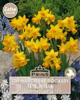 Prins narcis Tete a Tete 100 bollen