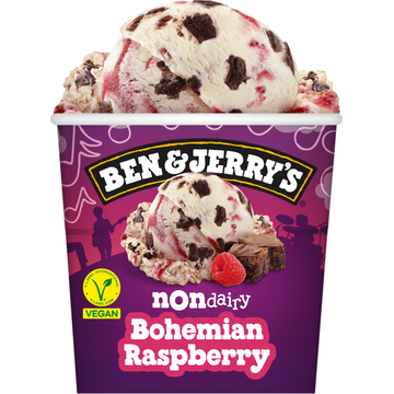 Ben & Jerry&apos;s NonDairy IJs Bohemian Raspberry 465 ml bij Jumbo