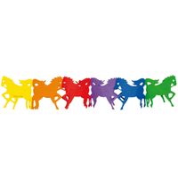 Regenboog verjaardagsslinger paarden 3 meter