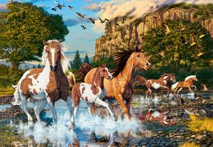 Castorland Horse Wonderland - 1000pcs