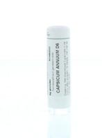 Homeoden Heel Capsicum annuum D6 6 Gram