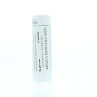 Arnica montana 30CH 6 Gram
