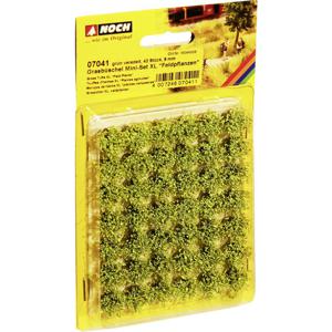 NOCH Grass Tufts XL “Field Plants” schaalmodel onderdeel en -accessoire Gras