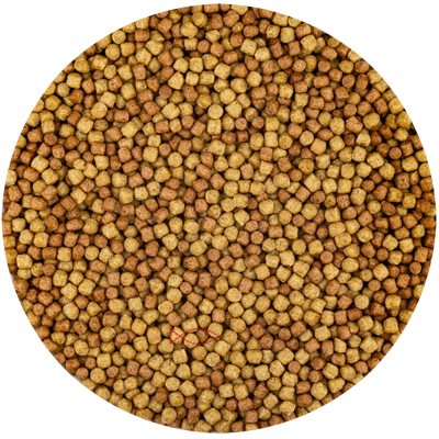 Vivani Multi Season Koivoer 3mm - Weerstand & Vitaliteit - 5L - Pellets voor Gezonde Koi