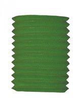 Treklampion groen 16 cm hoog   -