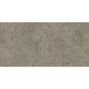 Atlas Concorde Marvel Meraviglia AJIU vloertegel 60x120cm 9mm mat ret.R10 grigio eleg.