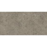 Atlas Concorde Marvel Meraviglia AJIU vloertegel 60x120cm 9mm mat ret.R10 grigio eleg. Atlas Concorde Marvel Meraviglia AJIU vloertegel 60x120cm 9mm mat ret.R10 grigio eleg.