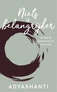 Niets is belangrijker (Hardback)