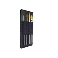 Penselenset zahn travel buddy 4-delig