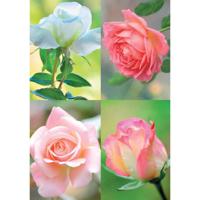 Wenskaarten blanco bloem pak a 10 stuks