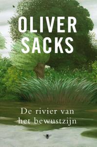 De rivier van het bewustzijn (Hardback)