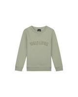 Malelions Sweater paint - Zeegras