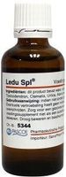 Pascoe Ledu similiaplex (50 ml)