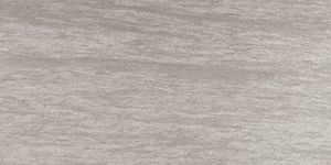 Coem Pietra Valmalenco vloertegel gerectificeerd 60x30cm grigio