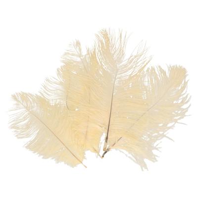 Struisvogelveren/sierveren - 5x - cr?me - 20-25 cm - decoratie/hobbymateriaal