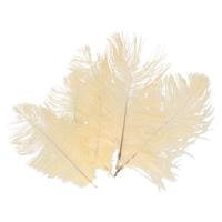 Struisvogelveren/sierveren - 5x - cr?me - 20-25 cm - decoratie/hobbymateriaal