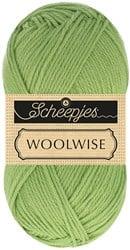 Scheepjes Woolwise 755 Pine Needle